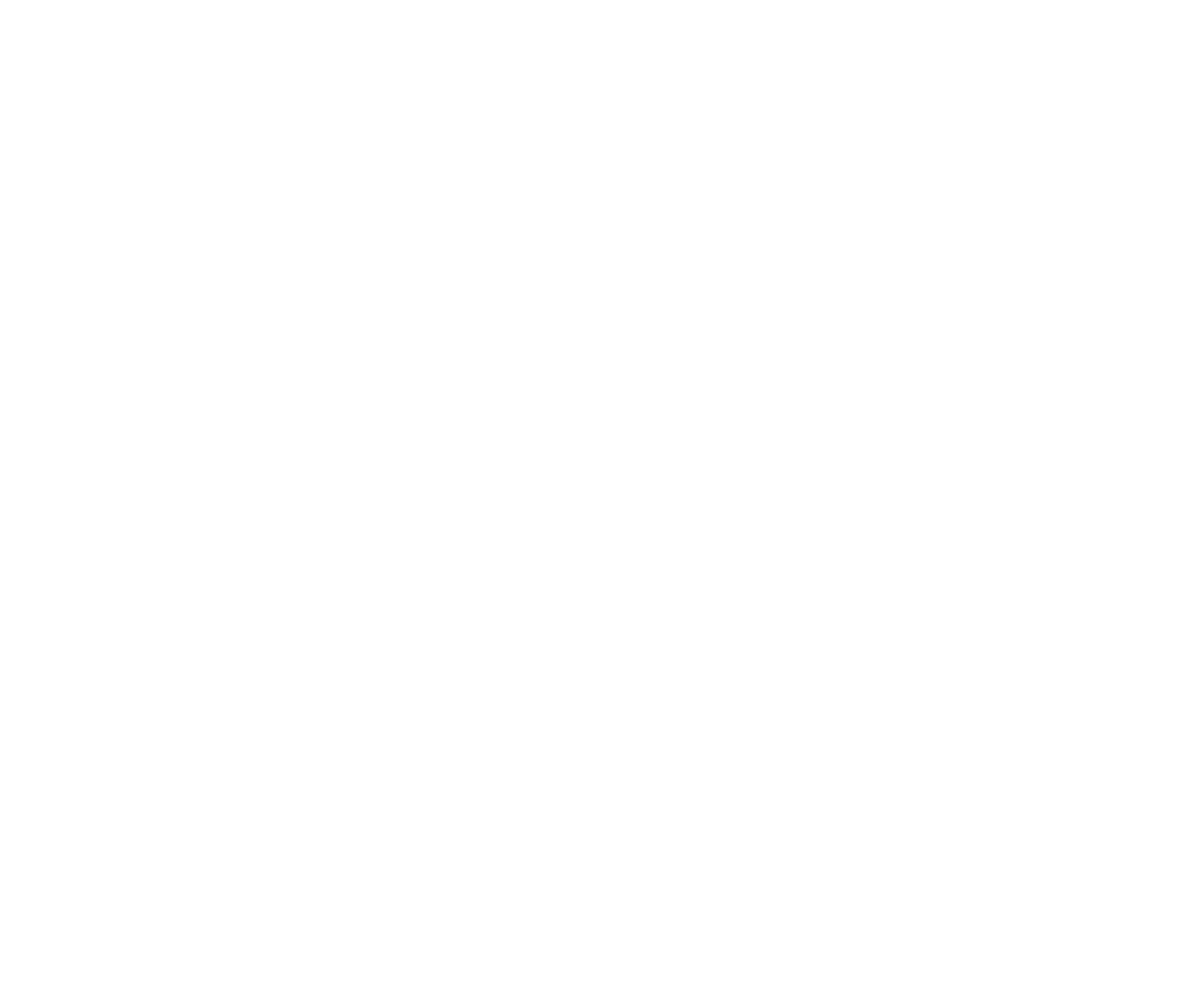 BlackSummer Logo